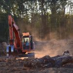 deforestation-2833688_1920