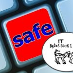 data-leak-safe